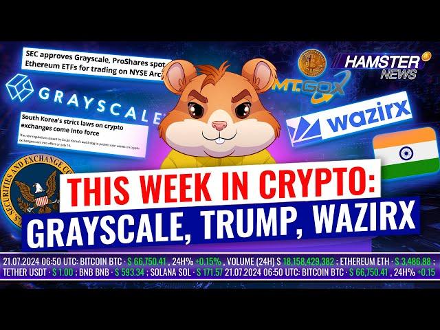 Grayscale ETF, South Korea Crypto Laws, Trump’s Plans ️ Hamster News Weekly