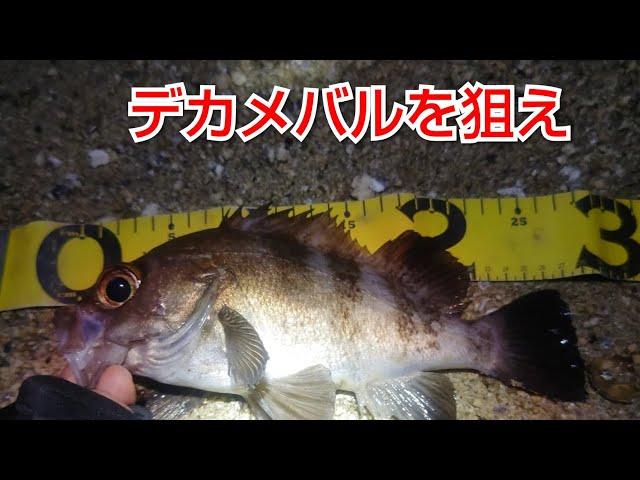 [メバリング] デカメバルを狙うなら、タックルの強さも大事