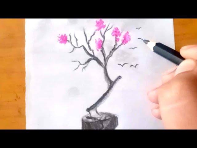 Easy & attractive drawing for beginners ||how to draw pencil drawing || Pencil drawing | pencil art