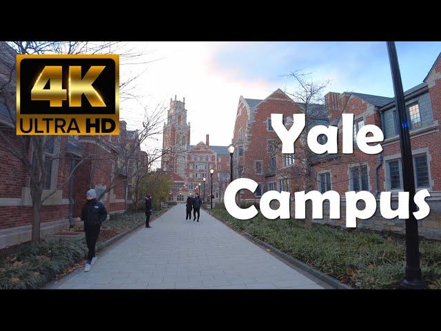 Yale University | 4K Campus Walking Tour