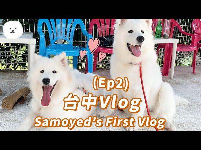 【南瓜PUMPKIN】開箱！全台最大『寵物遊樂園』！狗狗台中Vlog EP2 (薩摩耶Samoyed)