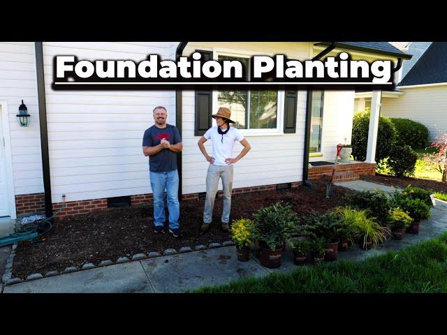 Foundation Plant Ideas - One Day Landscaping