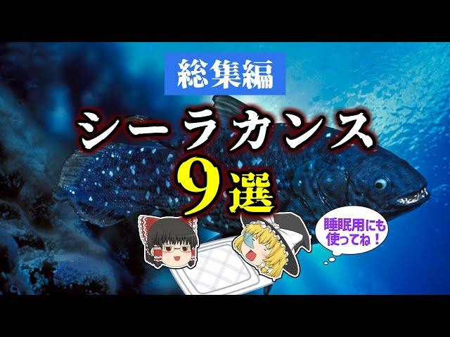 【睡眠用・ゆっくり解説】生きる化石シーラカンス9選！　シーラカンス/ラティメリア/マウソニアなど【広告最初のみ　途中広告なし】