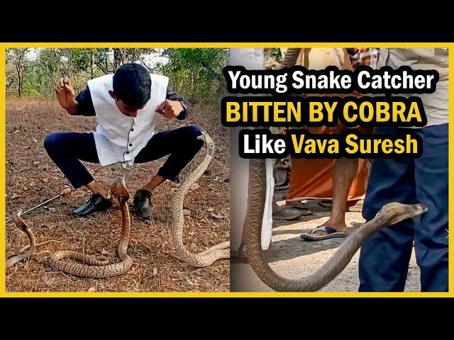 Snake Catcher Bitten By Cobra While Doing Stunt With 3 COBRA I Man Bitten By Cobra Like Vava Suresh