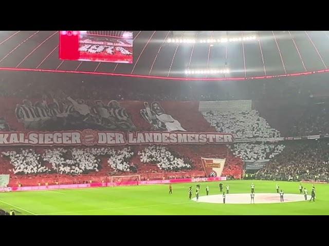 Choreo Südkurve München FCB - VFB 2/2 #fcbvfb #fcbayern #bundesliga #choreo #schickeria