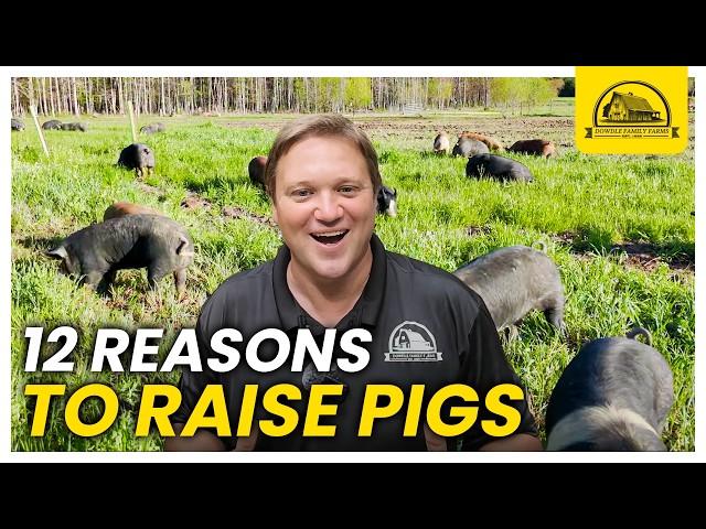 You Should Raise Pigs for Meat: 12 Reasons Why