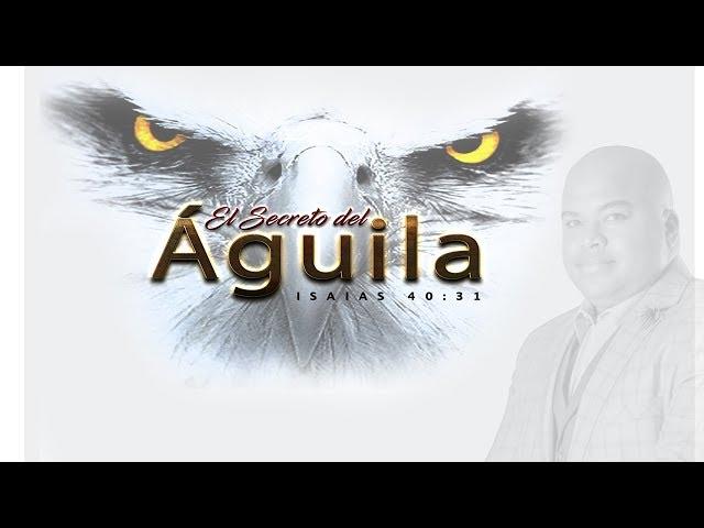 SECRETOS DE ÁGUILAS | LEUYÍN GARCÍA