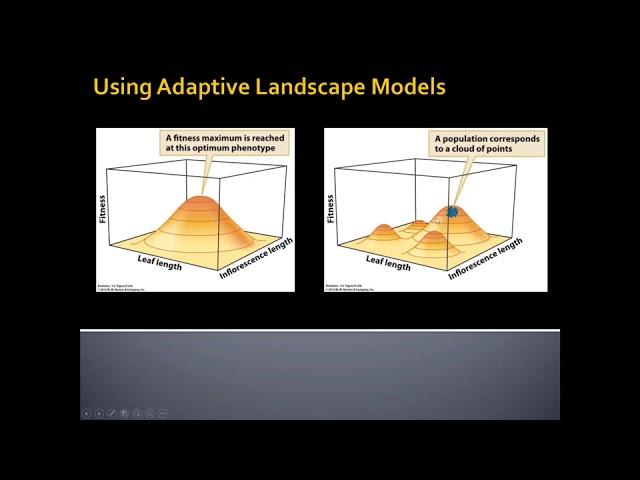 Unit 2 6 2 Adaptive Landscapes and Quantitative Genetics default