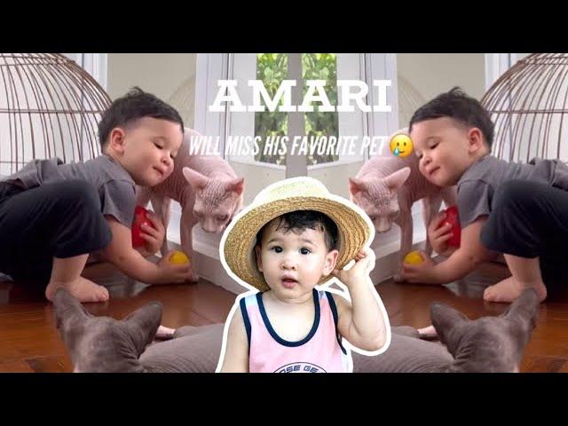 Amari Crawford will surely miss his favorite pet| RIP Anya | Coleen Garcia Crawford