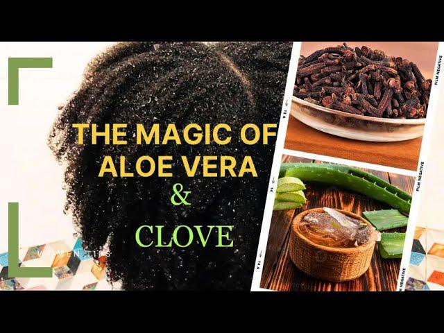 THE MAGIC OF ALOE VERA & CLOVES! Do not use this ingredients if you are not ready for Hair Growth