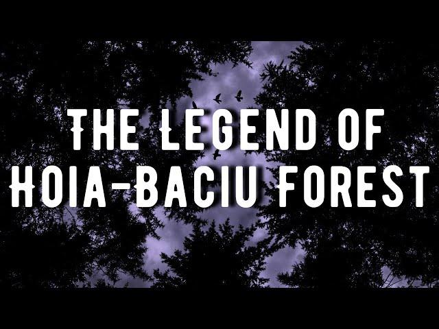 The Disturbing Legends of Hoia-Baciu Forest - NoSleep Stories w/ Rain & Thunder Sounds | Mr. Davis