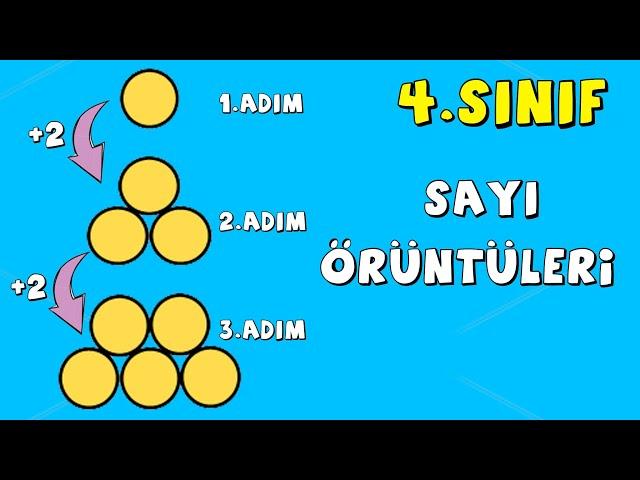 4.Sınıf Matematik Sayı Örüntüleri