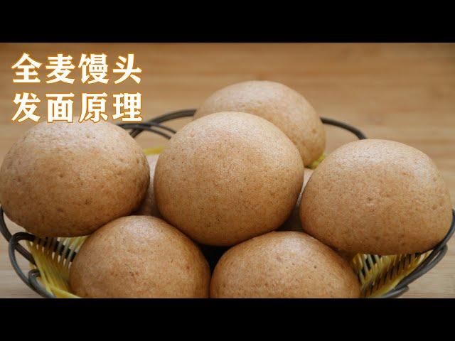 全麥饅頭正宗做法，詳細講解全麥麵粉發麵原理，看一遍就學會 Whole wheat buns