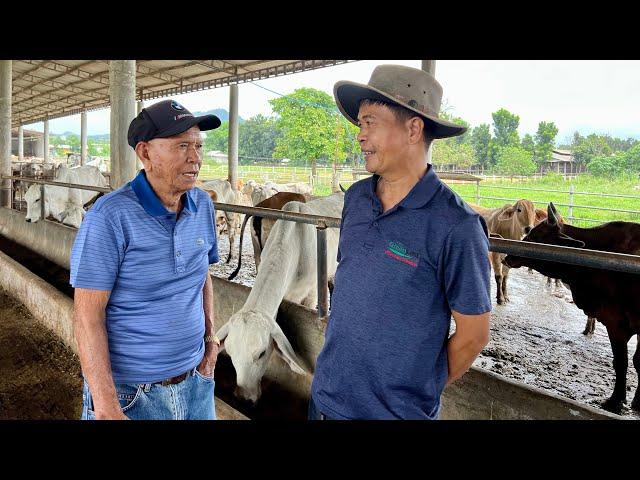 BEST OF THE BEST CATTLE BREEDS IN THE WORLD, NASA JULIANAS FARM NA SA BATANGAS