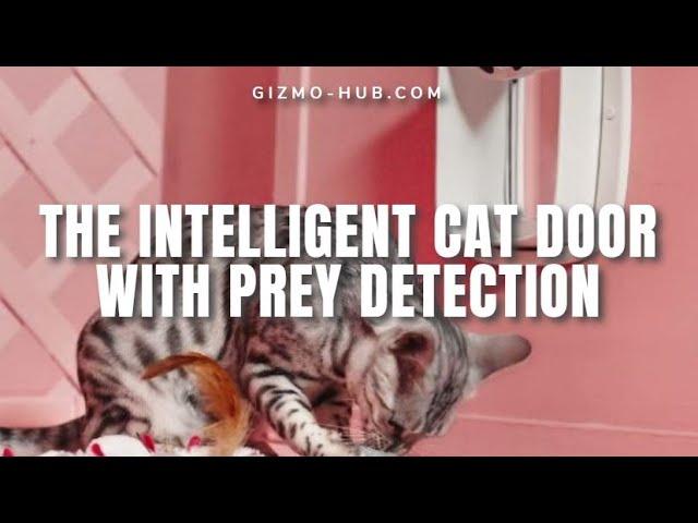 PAWLY DOOR : THE INTELLIGENT CAT DOOR WITH PREY DETECTION | Kickstarter | Gizmo-Hub.com