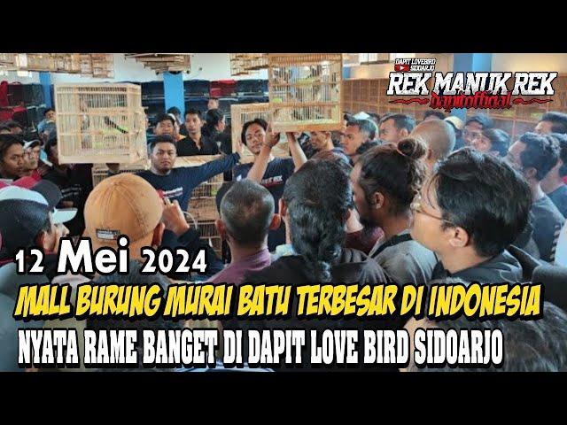 MALL BURUNG MURAI BATU TERBESAR DI INDONESIA !!! NYATA RAME BANGET DI DAPIT LOVE BIRD SIDOARJO