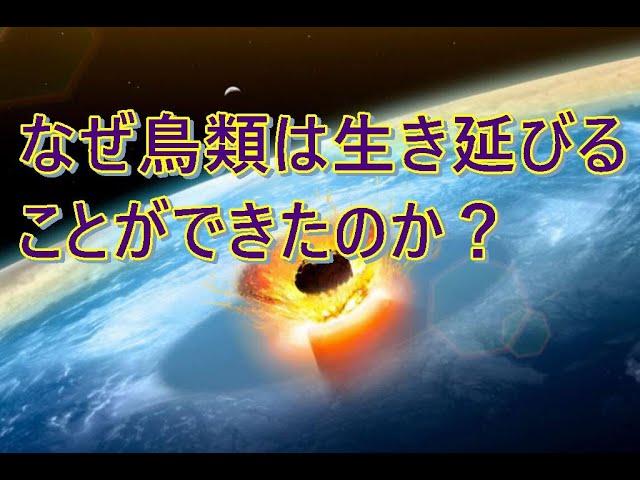 鳥類の先祖は白亜紀末の大量絶滅を生き延びている