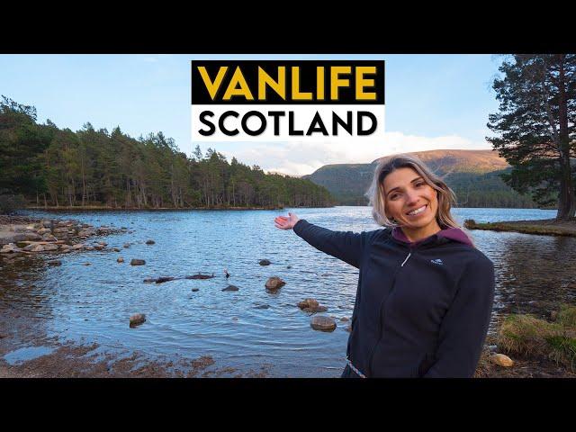 Exploring the Largest National Park in the UK | Van Life in Cairngorms