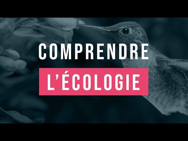 15 minutes pour comprendre facilement l'écologie