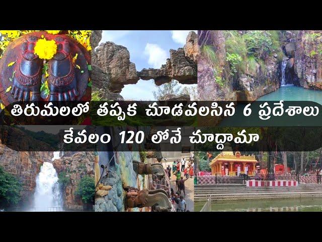 Tirumala 6 places to visit in Rs 120/- || Must visiting places || Vikram vihari