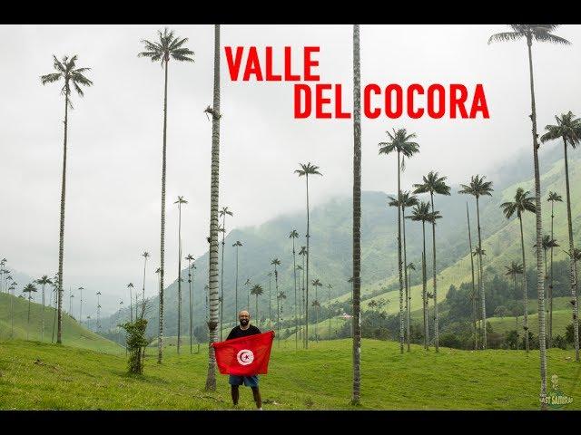 Exploring the Cocora Valley in Colombia