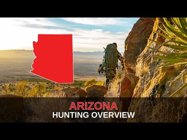 The Basics of Hunting in Arizona | Mastering The Draw
