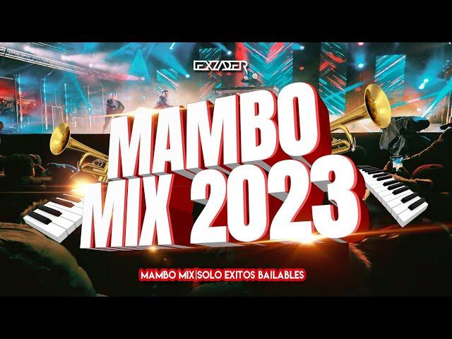 MAMBO MIX 2023  - (Vagabundo, El Merengue, Diva Virtual, Soy Peor, Pepas, Dakiti, Despecha, Omega)