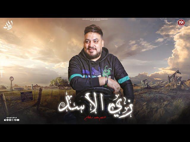 اغنيه زى الاسد ( متسيبش حد يدوس عليك لو طمعوا فيك هيقلوا بيك ) محمد سلطان  ( اجمل اغانى السلطان )