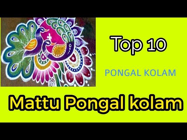 PONGAL KOLAM | kolam design Mattu Pongal kolam