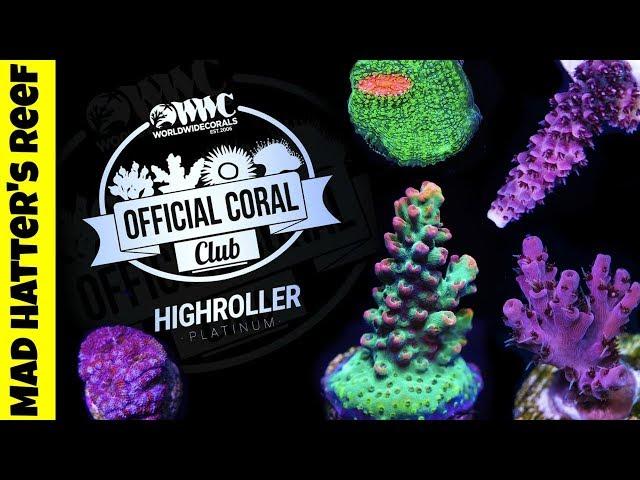 World Wide Corals Coral Club Review