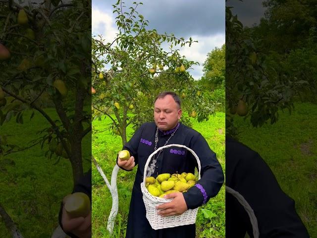 Чи можна тримати штучні квіти вдома?