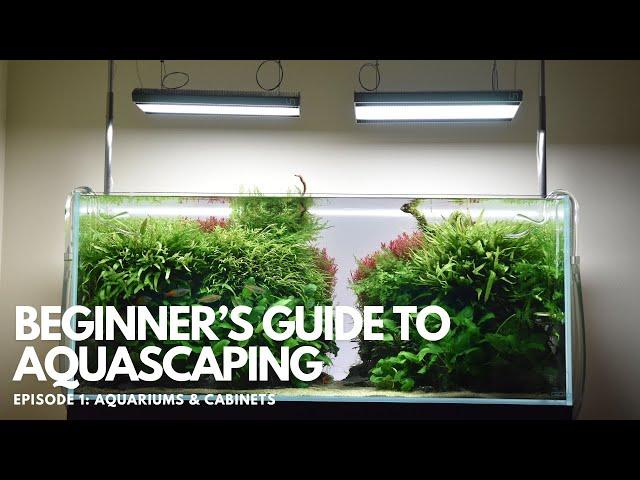 Beginner's Guide to Aquascaping - Episode 1: Aquariums & Cabinets