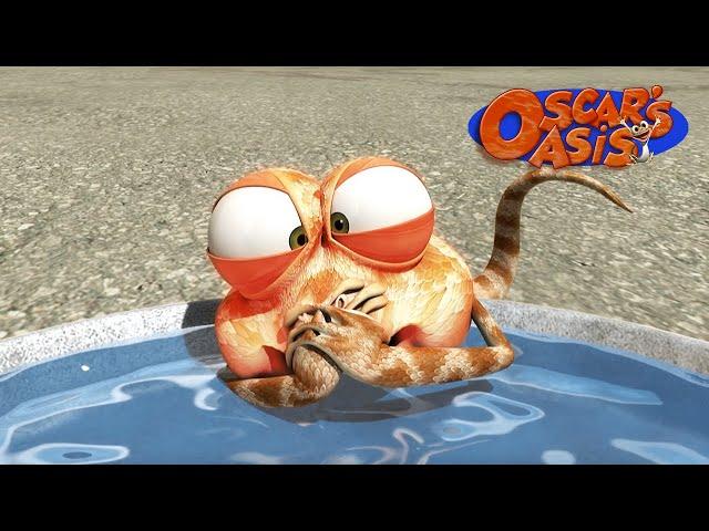 Flamin' Hot Oscar | Oscar’s Oasis | Funny Cartoons for Kids