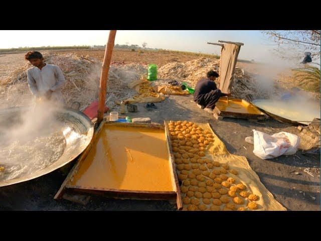 Traditional jaggery making || Jaggery making from sugar cane || Shareef Zada