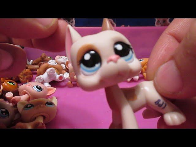 Lps Magic Giveaway and New G1 G2 Pets listed now on LpsQueen.com