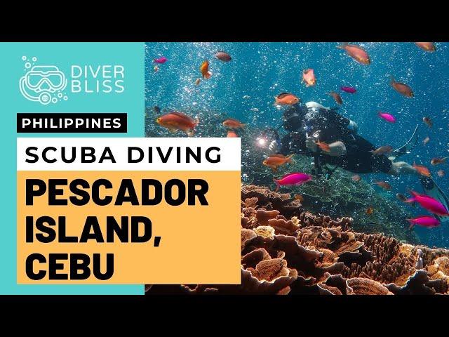 Scuba Diving Pescador Island in Moalboal, Cebu, Philippines