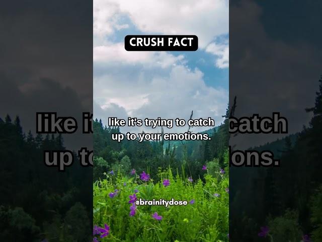 The heart reaces when you see your crush...  #crushfacts #crushlove