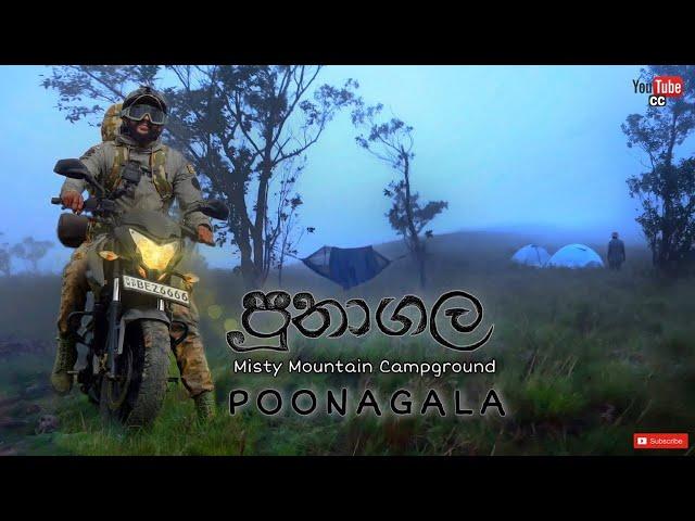 Poonagala | Misty Mountain Camping | පූනාගල කදු මුදුනේ කදවුරු බැදීම | මීදුම පිරුණු තැන්නක #poonagala