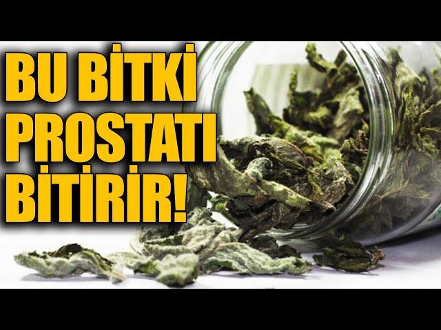 Bu Bitki PROSTATI BİTİRİR!