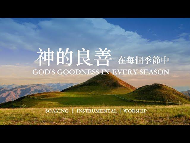 神的良善在每個季節中 GOD'S GOODNESS｜靈修鋼琴沈浸音樂｜等候神音樂｜soaking  music piano 輕音樂 #instrumental  #relaxingmusic