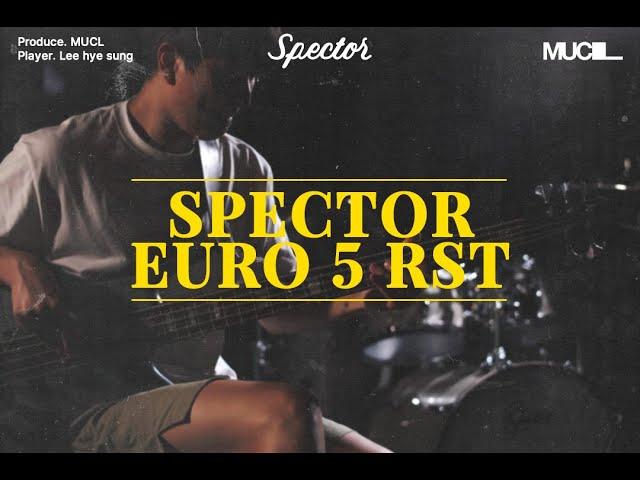 Spector EURO 5 RST Bass Guitar Sound Sample | Bassist 이혜성