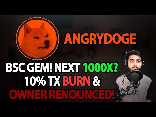 AngryDoge - Bsc Gem! Next 1000X? 10%TX Burn /Owner Renounced !!!