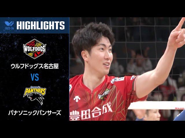 【Vリーグ公式】2024/02/18 ハイライト #ウルフドッグス名古屋 vs #パナソニックパンサーズ