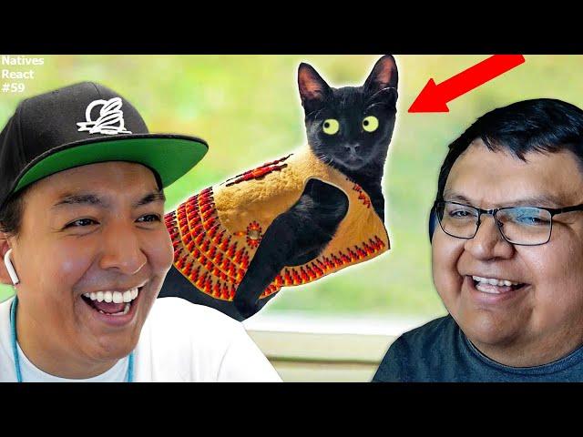 The Funniest Indigenous Cat Videos 