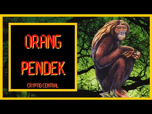 The Orang Pendek - A Short Documentary