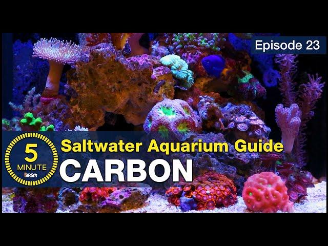 See how easily $1.50 in carbon produces pristine blue water. My favorite reef tank filtration media.