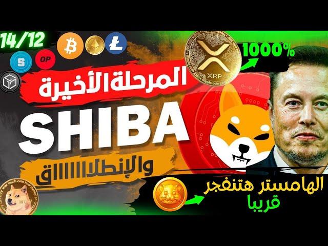 بيتكوين(Bitcoin) |حيتان تتحرك! عمله الشيبا فرصه كبيره|هامستر تنفجر قريبا|افضل العملات الرقميه! 2024|