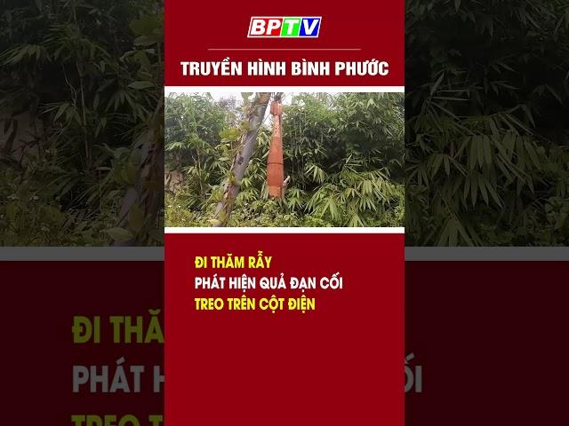 Bình Phước: Đi thăm rẫy, phát hiện quả đạn cối treo trên cột điện #shorts   | BPTV