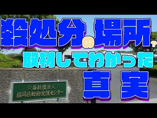 殺処分の場所なの？福岡県動物愛護センターを取材してきた