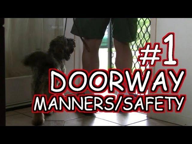 Doorway Safety 1 - Dog Training Tutorial